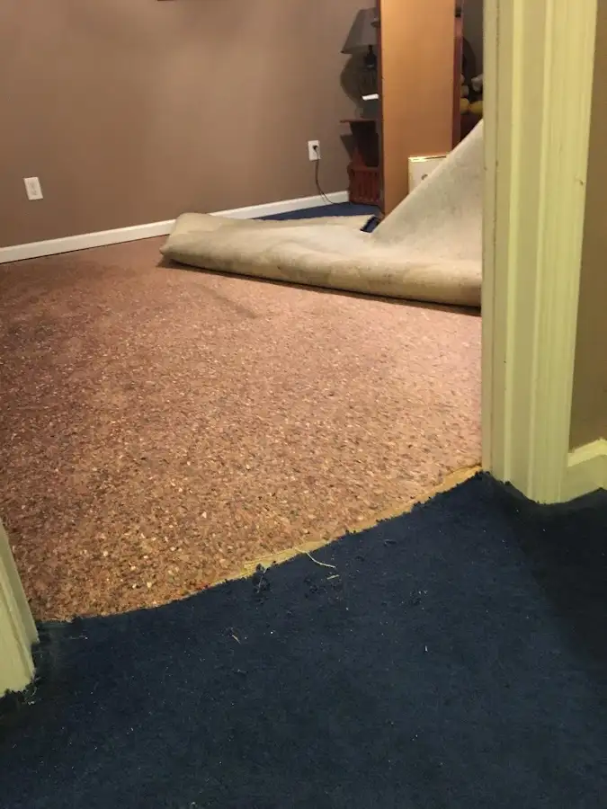 Carpet pad removal revealing water damage during Drying & Dehumidification in Mendon